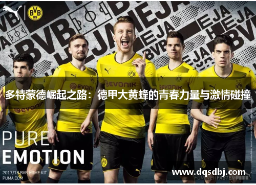 多特蒙德崛起之路：德甲大黄蜂的青春力量与激情碰撞