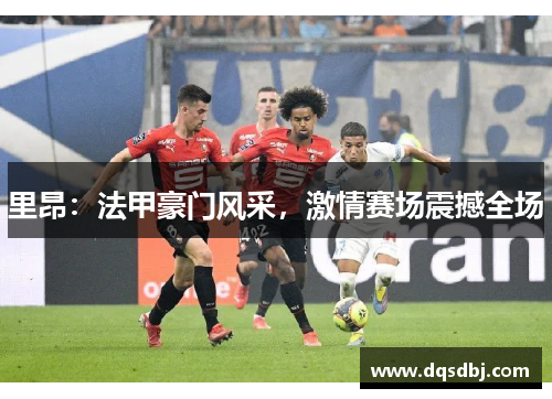 里昂：法甲豪门风采，激情赛场震撼全场