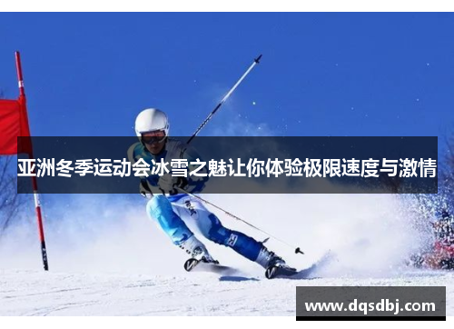 亚洲冬季运动会冰雪之魅让你体验极限速度与激情