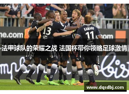 法甲球队的荣耀之战 法国杯带你领略足球激情 法甲球队的荣耀之战 法国杯带你领略足球激情